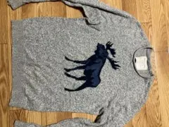 Abercrombie & Fitch エルク刺繍 ニット L