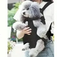 Item thumbnail for item 07f79bce-b520-4a5a-be9e-761609acd939