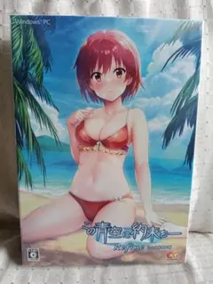 コトブキヤ ハヤテのごとく！桂ヒナギク水着 ver.1/6スケール