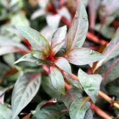 ゆうさく様 リクエスト 3点 まとめ商品