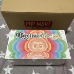 未開封/正規品 ラブブ Big into Energy アソートボックス