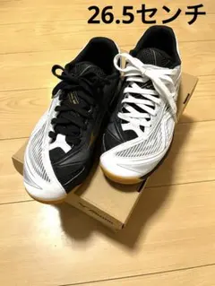 【値下げ】美品　ミズノ　ウエーブメダル 7 26.5センチ