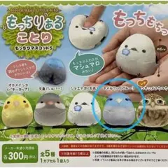 Koyagurashi様 リクエスト 2点 まとめ商品