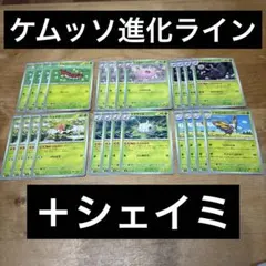ケムッソ進化ラインまとめ売り＋シェイミ24枚セット
