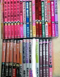 厳選BLコミックス 31冊セット 桑原祐子 鈴木ツタ　まとめ売りセット