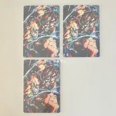 Crazy raccoon　CR　コレクションカード　レア　ありさか　⑵