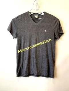 アバクロンビー&フィッチ　 Tシャツ　グレーMサイズ
