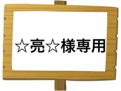 ☆亮☆様 リクエスト 3点 まとめ商品