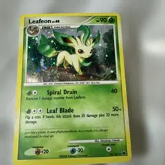 2026年最新】リーフィアLvの人気アイテム - メルカリ