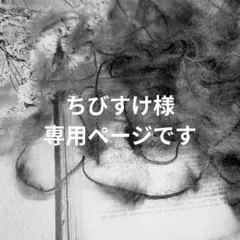 〚 ちびすけ様専用ページ 〛