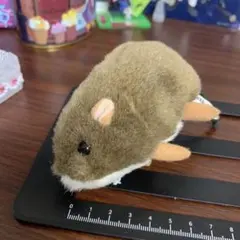 茶色のぬいぐるみ本体 約10cm