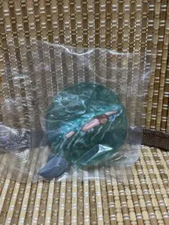 こちらは！たまにゃん様専用になります。他の方は購入しないで下さいJAWS