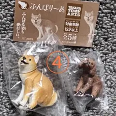 ④　ふんばりーぬ　柴犬＆トイプードル　2点のサムネイル