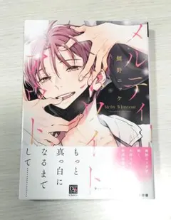 メルティホワイトアウト　鯛野ニッケ　商業BL