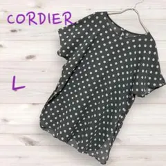 コルディア ドット柄 シフォン カットソー 42 総柄 夏 チュニック丈のサムネイル