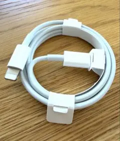 iPhone 정품 Lightning-Type C 케이블