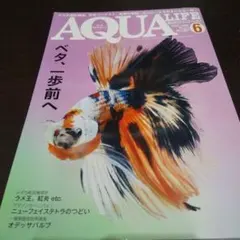【アクアライフNo.515】〈ベタ、一歩前へ〉