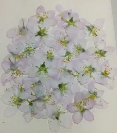 Item thumbnail for item 7b3e985b-349f-4ada-a04c-80ea73994e55