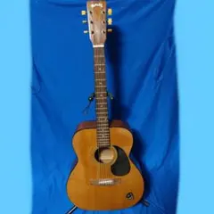 2025年最新】ギター HOTTAの人気アイテム - メルカリ