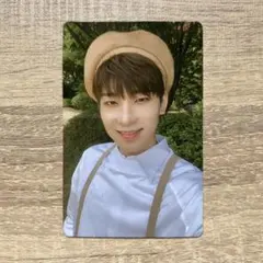 seventeen ウォヌ　トレカ