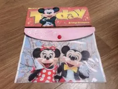 東京ディズニーリゾート 実写ケース