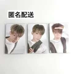 SEVENTEEN DXS Serenade LP盤 トレカ 特典 ドギョム