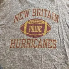 champion 80's トリコタグ　ヴィンテージ usa製　Tシャツ