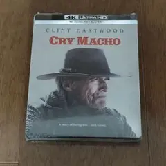 Item thumbnail for item 2544ea2f-1934-4ffe-a324-f643b29cece6