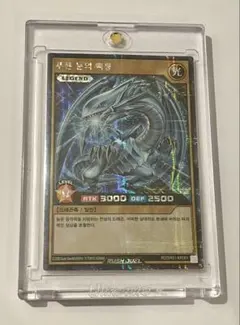 青眼の白龍 シークレット 韓国