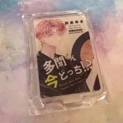 SAYMYNAME ジュンフィ ジュニ サイントレカ tiam ランダム 激レア