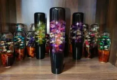 Item thumbnail for item 7ce09e3e-728e-47e3-ba1d-27260e84a53d