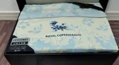 Item thumbnail for item f58c5f96-195d-468a-9abd-a6ab91df7d88