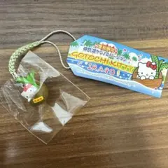 レア！ご当地ハローキティ伊良湖ヤシノミバージョン５個 2026年最新】伊良湖ヤシノミバージョンの人気アイテム - メルカリ