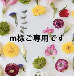 m様ご専用です。