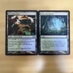 MTG 繁殖池 霧深い雨林 2枚セット　英語のサムネイル
