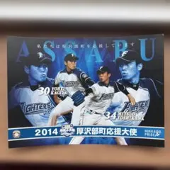 北海道日本ハムファイターズ 2014 厚沢部町応援大使カードのサムネイル