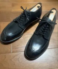 Alden オールデン Vチップ 54411 カーフ ブラック 新品未使用のサムネイル