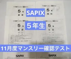 2026年最新】サピックス 5年 マンスリー確認テストの人気アイテム