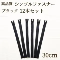 新商品 ファスナー 6本セット 30cm ブラック ハンドメイド パーツ 素材