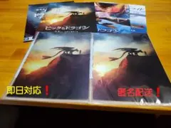 映画ヒックとドラゴン　前売り特典オリジナル3Dクリアファイル　フライヤーセット