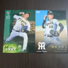 JRA「長浜鴻緒」直筆サイン（大型サイズ） - メルカリ