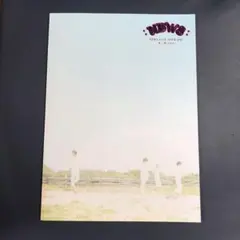 NEWS LIVE TOUR 2012 美しい恋にするよ パンフレット