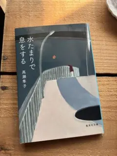 水たまりで息をする 高瀬隼子 集英社文庫