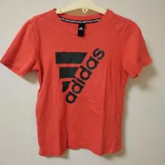 Item thumbnail for item 2dc99c45-e8a7-494b-936a-a67984a04569