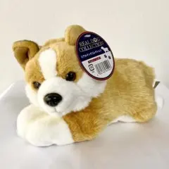 ▲REAL DOG COLLECTION リアルドッグコレクション トイプードル 2026年最新】リアルドッグコレクションの人気アイテム - メルカリ