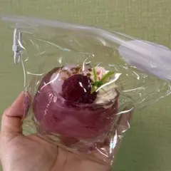 Ladodo系 スイーツカップ スクイーズ 捏捏