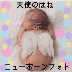 天使のはね 羽 ニューボーンフォト ハーフバースデー 記念写真 寝相アート