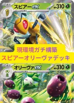 HGSS発売記念プロモ ヒノアラシ チコリータ ワニノコゴマゾウヒメグマ