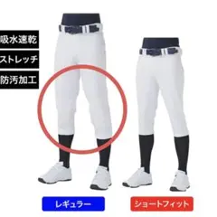 ティゴラ ジュニア 野球 練習用パンツタフパン TOUGH-PAN 140