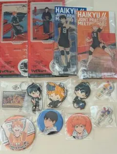 ハイキュー　日向　影山　セット